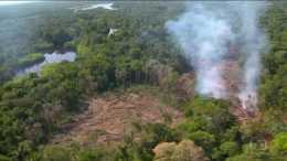今年全世界森林大火特別多。是不是和氣候有關呢？