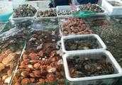 在秦皇島，去哪裡買海鮮比較好？